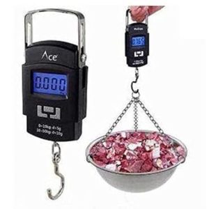 Portable weight scale