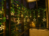 Leaf Moon & Star Fairy Light