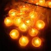 lemon led string light