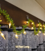 Green Leaf Star LED String Light